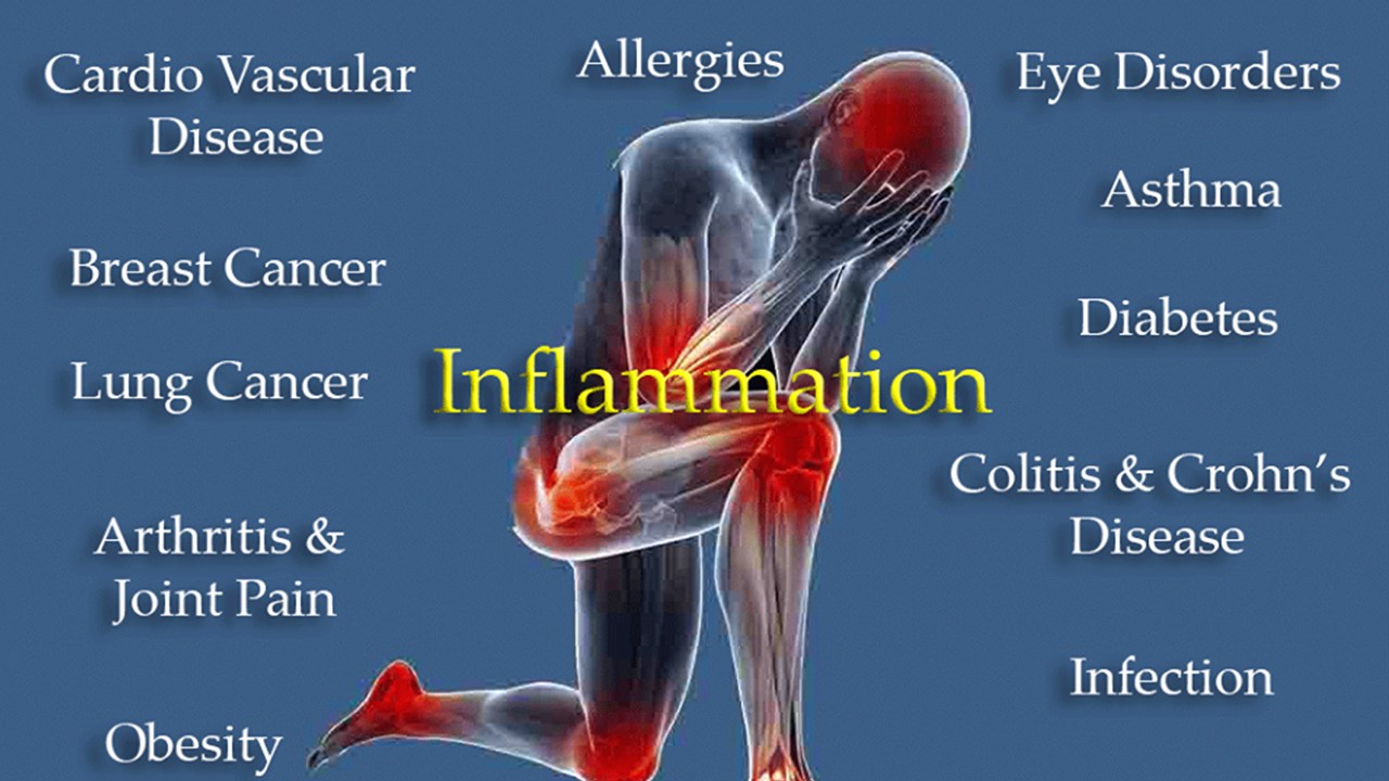 Upper and Lower Body Pain Studies